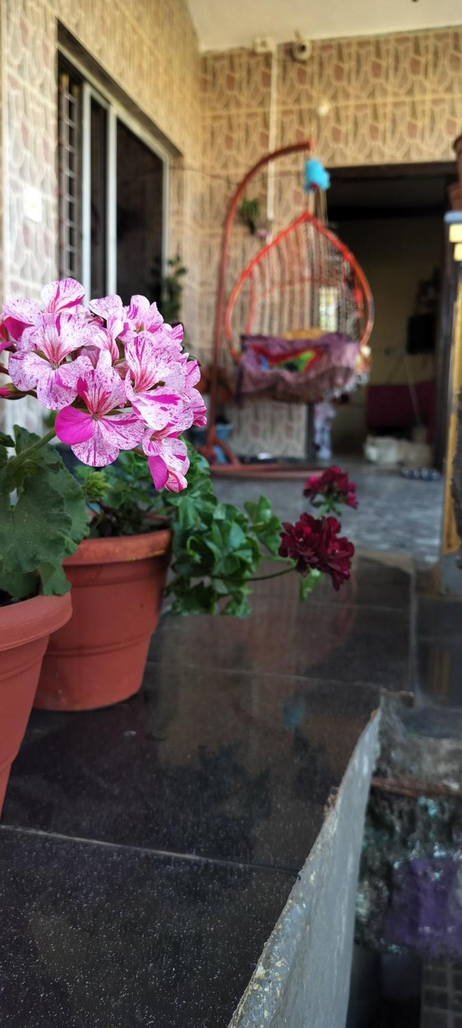Royal Palm Homestay มาดิเครี ภายนอก รูปภาพ