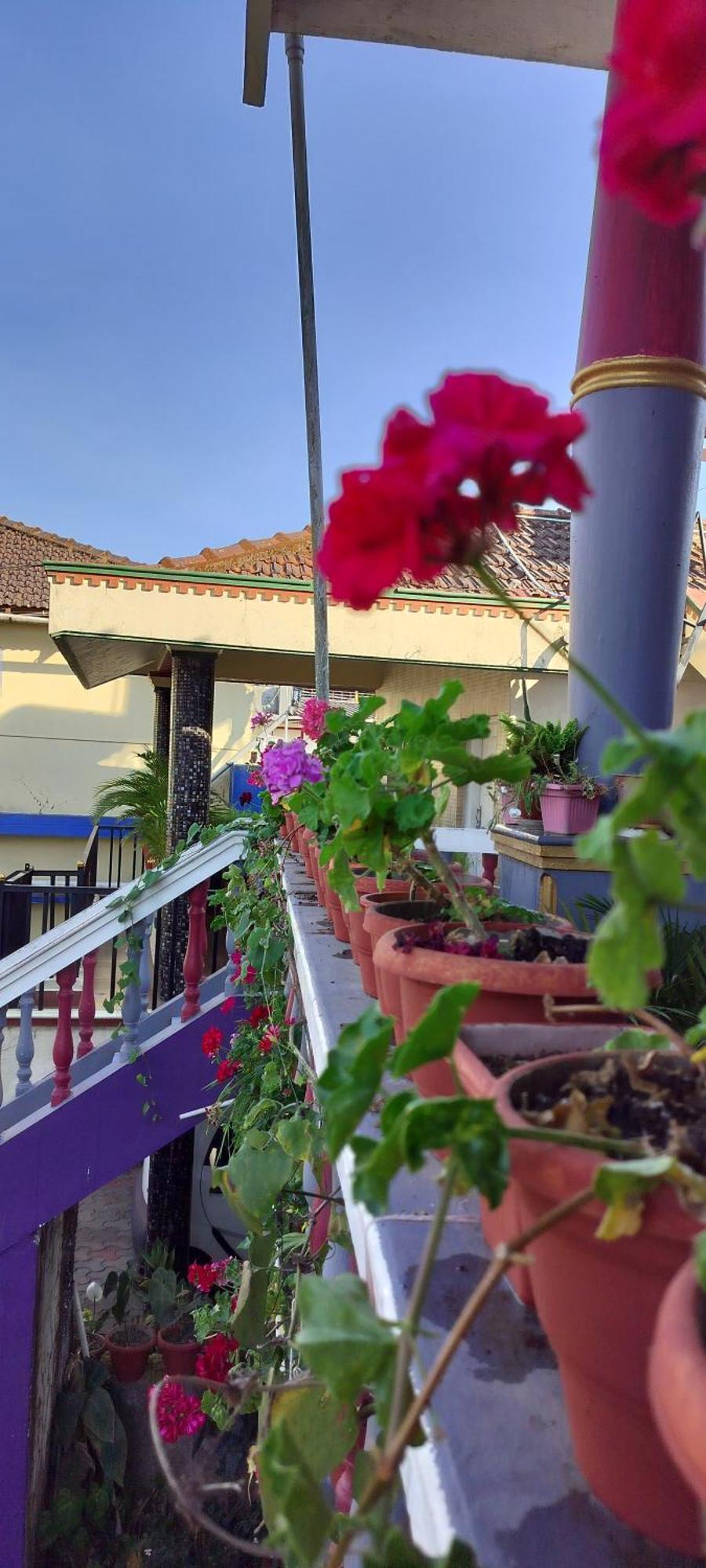 Royal Palm Homestay มาดิเครี ภายนอก รูปภาพ