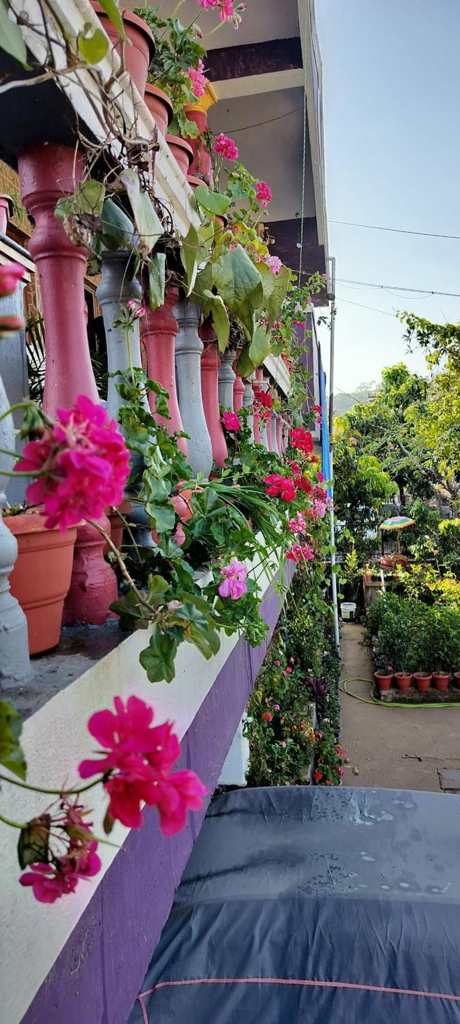 Royal Palm Homestay มาดิเครี ภายนอก รูปภาพ